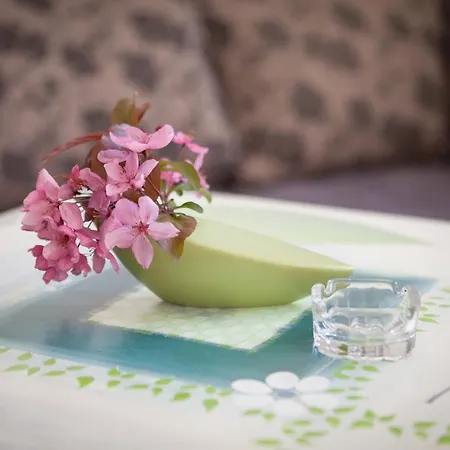 Dream * מימיצה